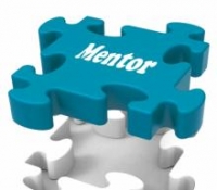 CEOs Need Mentors, Too